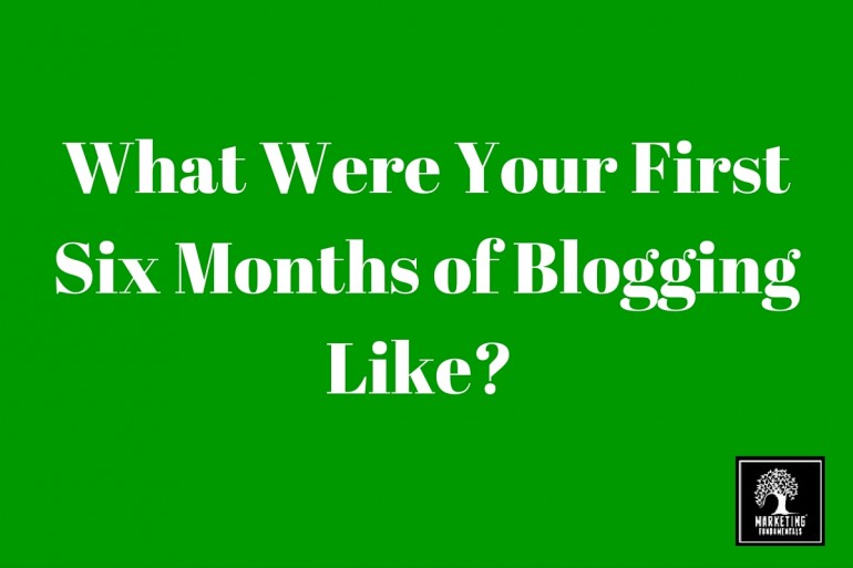 What were your first six months of blogging like