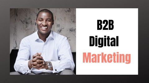 What is B2B Digital Marketing